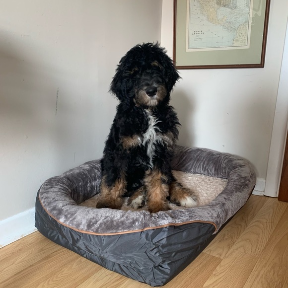 Meet your Posher, Megan - Picture 4 of 7